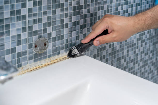 Best Mold Cleaning Services  in Mammoth, AZ