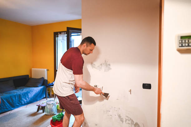 Best Commercial Mold Removal  in Mammoth, AZ